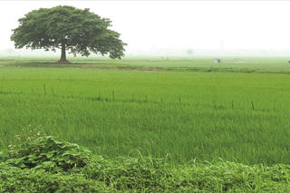 Trở lại tháng ba