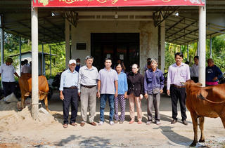 Thừa Thiên - Huế: Hỗ trợ bò sinh sản cho hộ nghèo