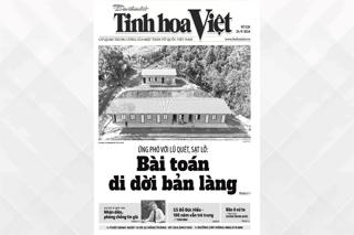 Tìm đọc Tinh hoa Việt số 228, phát hành ngày 25/9/2024