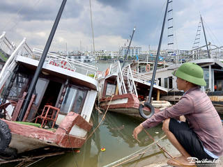 Quảng Ninh: Giải ngân hơn 100 tỷ đồng vốn vay phục hồi sau bão số 3