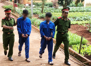 Đắk Nông: Tạm giữ hai đối tượng cắt trộm hàng trăm quả sầu riêng