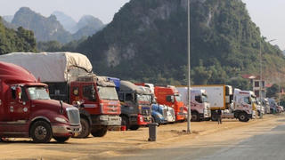 Không để nông sản ùn ứ tại cửa khẩu