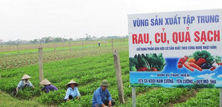 Nam Định: Sau loạt xã nổi trội về giáo dục, văn hóa có xã NTM kiểu mẫu đầu tiên nổi trội về sản xuất