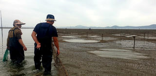 Xâm chiếm bãi triều thu lợi bất chính: TP Móng Cái cam kết xử lý triệt để