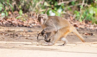 Không thể đổ lỗi cho 'lực lượng mỏng'