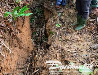 Quảng Nam: Phát hiện vết nứt sâu trên núi, sơ tán 11 hộ dân đến nơi an toàn