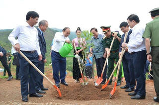 Chủ tịch nước kêu gọi hưởng ứng Đề án trồng 1 tỷ cây xanh tại Điện Biên