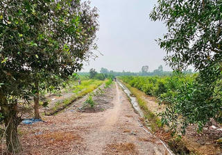 Dùng máy bay không người lái truy tìm nghi phạm giết người