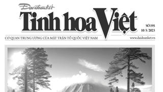 Đón đọc Tinh hoa Việt số 195, phát hành ngày 10/5/2023