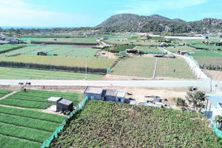 Thủ tướng Phạm Minh Chính làm Trưởng Ban Chỉ đạo xây dựng nhà máy điện hạt nhân