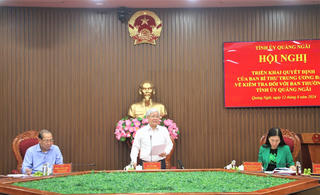 Đoàn kiểm tra của Ban Bí thư làm việc với Ban Thường vụ Tỉnh ủy Quảng Ngãi