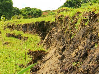 Sơn La: Di dời 66 hộ dân trước nguy cơ lở đất