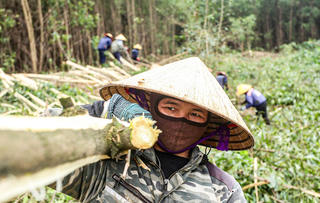 Nhọc nhằn nghề 'phu keo'