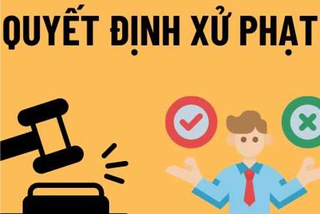 Sản xuất hàng hóa dấu hiệu xâm phạm nhãn hiệu, Công ty Tân Long bị phạt