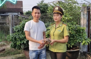 Huế: Người dân tự nguyện giao nộp nhiều cá thể động vật quý hiếm