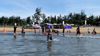 Hà Tĩnh: Hàng trăm du khách tắm biển 'hoảng hồn' chạy lên bờ gãi ngứa vì gặp... sứa độc