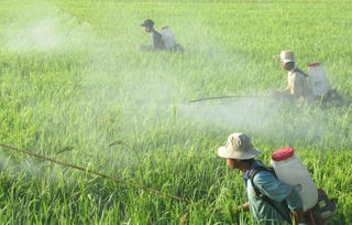 “Chìa khóa” thúc đẩy nông nghiệp xanh