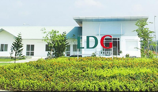 Đầu tư LDG: Tổ chức ĐHĐCĐ 2023 bất thành, Shark Louis Nguyễn muốn rút khỏi HĐQT