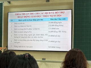 Xã hội hóa giáo dục: Bao nhiêu là đủ?