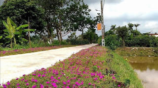 Nông thôn trước bước ngoặt chuyển mình