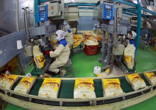 Giá gạo Việt Nam tăng lên mức cao nhất trong vòng hơn 15 năm qua