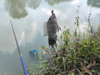 Mâu thuẫn lúc câu cá, hai bố con lao vào tấn công cụ ông 60 tuổi