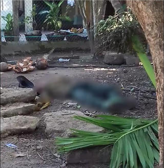 Quảng Nam: Phát hiện một trưởng Công an phường chết trong tư thế treo cổ 