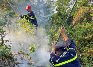 Hải Phòng: Huy động gần 300 người dập tắt đám cháy trên núi Sơn Đào