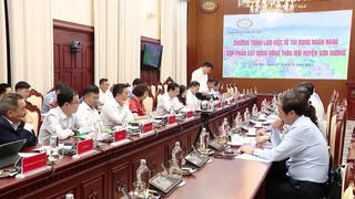 Tuyên Quang: Quyết tâm sớm đưa huyện Sơn Dương về đích đạt chuẩn nông thôn mới