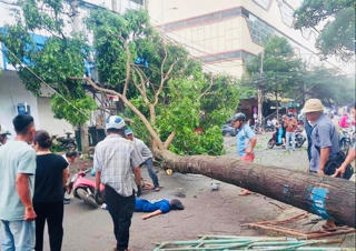 Đắk Lắk: Nỗ lực cứu chữa cho bệnh nhân bị cây xanh ngã đổ đè lên người