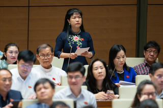ĐBQH quả quyết: 'Làm đúng thì không có gì phải ngại'