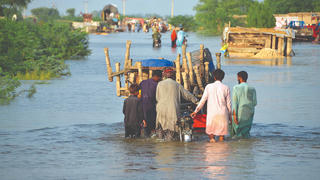 COP27 ‘nóng’ cùng trái đất nóng