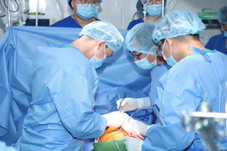 Thêm 7 cuộc đời được hồi sinh