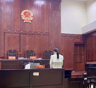 Nghị án kéo dài vụ cựu tiếp viên hàng không “môi giới mại dâm”