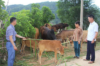 Phát huy vai trò người có uy tín trong cộng đồng