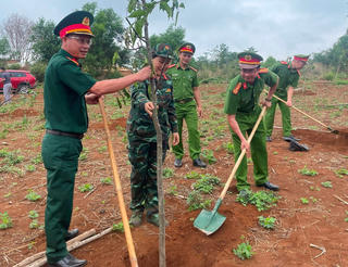 Đắk Nông hưởng ứng “Tết trồng cây đời đời nhớ ơn Bác Hồ”