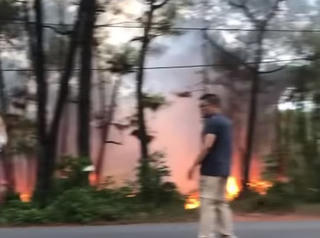 Tạm giữ đối tượng nghi đốt rừng thông ở Huế