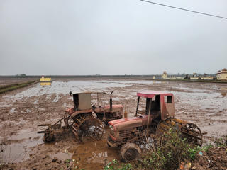 Ninh Bình: Khoảng 3.000 ha đất chưa có nước cấy do mặn xâm lấn