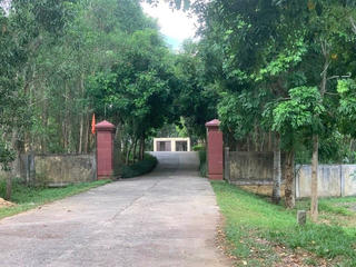 Quảng Bình: Kẻ gian đột nhập trụ sở lâm trường 'cuỗm' gần nửa tỷ đồng