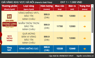Ngày 9/8, giá vàng miếng SJC tăng mạnh