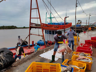 Khó khăn kép trong chuyến biển đầu năm