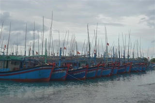 Quảng Ninh, Hải Phòng, Lạng Sơn khẩn trương ứng phó bão số 3