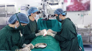 50% trường hợp vô sinh hiếm muộn là cặp vợ chồng dưới 30 tuổi