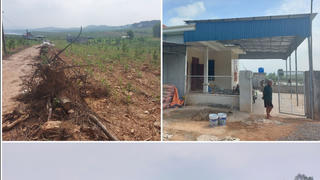 Rừng phòng hộ ở Nghệ An: Quản lý chồng chéo, khó xử lý