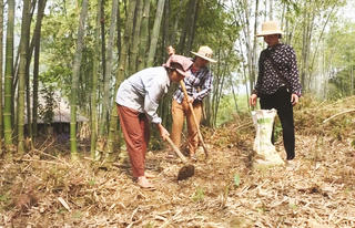 Sức sống mới ở Mường Khăng