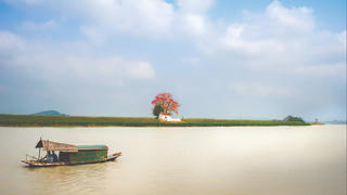 Tặng sông một đóa hoa