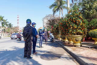 Thị trường hoa, cây cảnh Tết ở Quảng Bình ảm đạm, chủ vườn thấp thỏm 