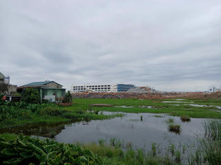 Nông dân gặp khó bên những cánh đồng nhiễm mặn