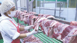 Giá thịt lợn và bài toán ổn định thị trường