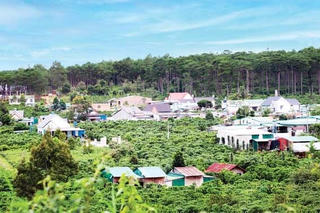 Lâm Đồng: Phát triển toàn diện vùng đồng bào dân tộc thiểu số
